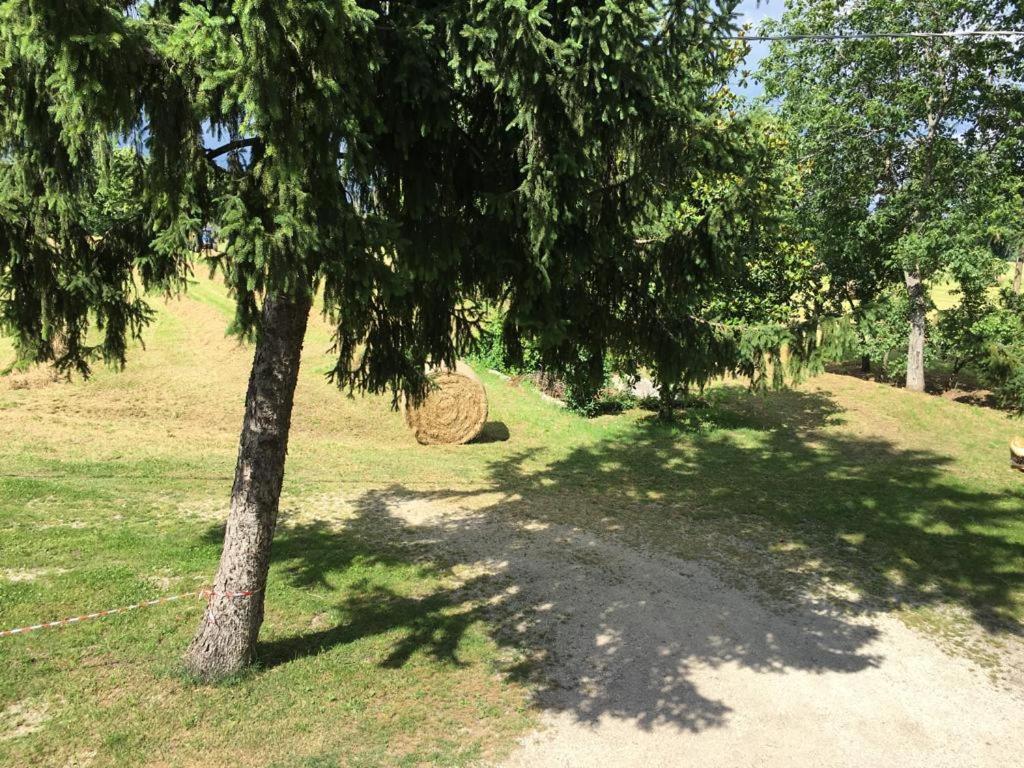 B&B Il Fienile Calcinato Exteriör bild